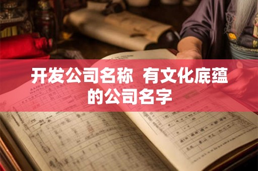 开发公司名称  有文化底蕴的公司名字