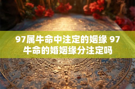 97属牛命中注定的姻缘 97牛命的婚姻缘分注定吗