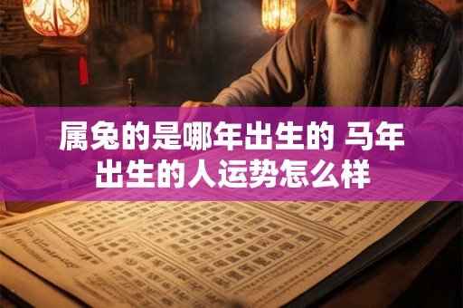 属兔的是哪年出生的 马年出生的人运势怎么样