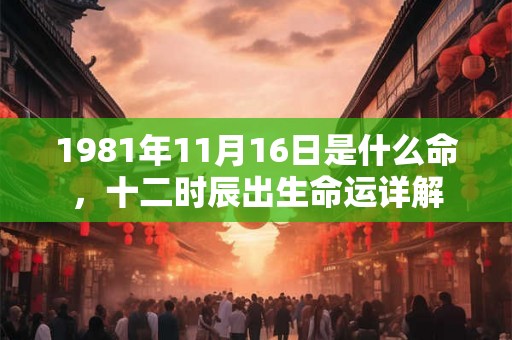 1981年11月16日是什么命，十二时辰出生命运详解