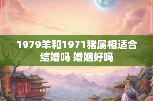 1979羊和1971猪属相适合结婚吗 婚姻好吗