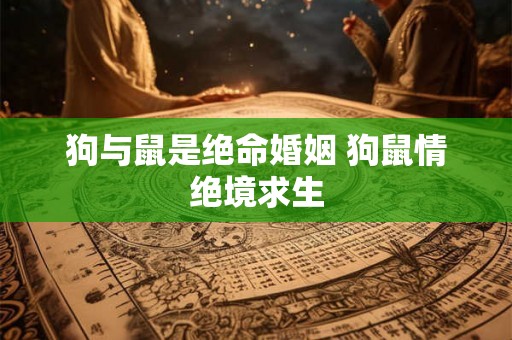 狗与鼠是绝命婚姻 狗鼠情绝境求生