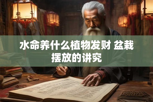 水命养什么植物发财 盆栽摆放的讲究
