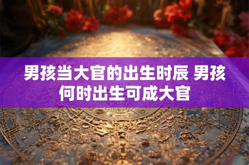 男孩当大官的出生时辰 男孩何时出生可成大官