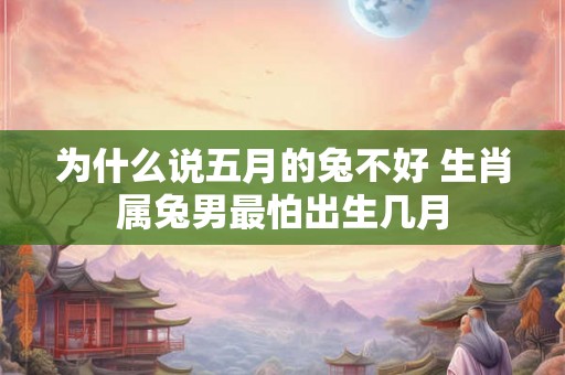 为什么说五月的兔不好 生肖属兔男最怕出生几月