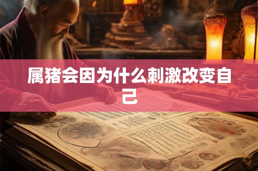 属猪会因为什么刺激改变自己