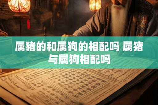 属猪的和属狗的相配吗 属猪与属狗相配吗
