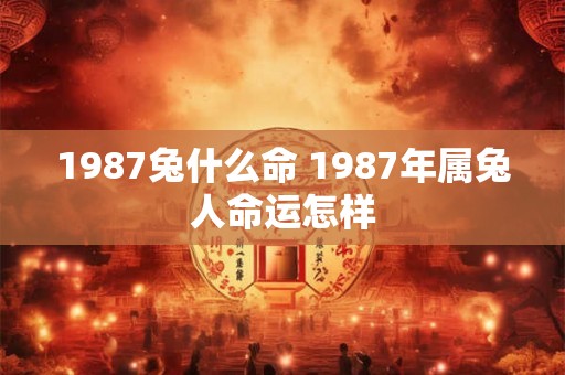 1987兔什么命 1987年属兔人命运怎样 1987兔什么命 1987年属兔人命运怎样