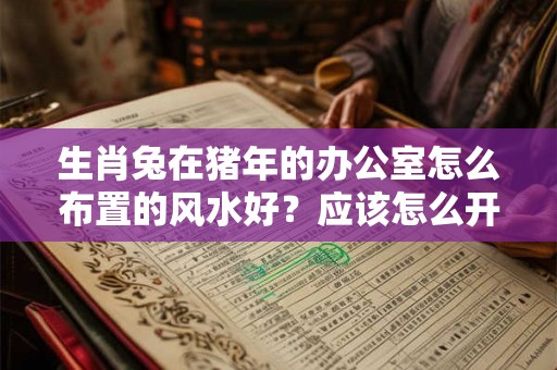 生肖兔在猪年的办公室怎么布置的风水好?应该怎么开运? 生肖兔在猪年的办公室怎么布置的风水好?应该怎么开运?