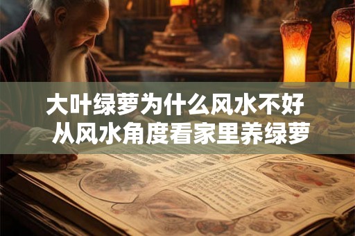 大叶绿萝为什么风水不好  从风水角度看家里养绿萝好不好
