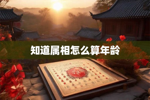 知道属相怎么算年龄
