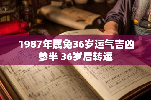 1987年属兔36岁运气吉凶参半 36岁后转运 1987年属兔36岁运气吉凶参半 36岁后转运