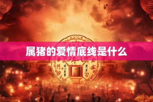 属猪的爱情底线是什么