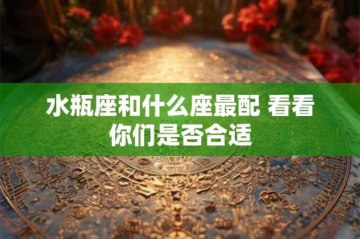 水瓶座和什么座最配 看看你们是否合适
