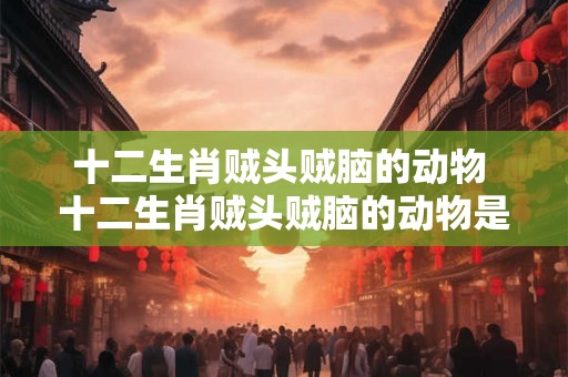 十二生肖贼头贼脑的动物 十二生肖贼头贼脑的动物是