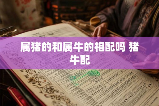 属猪的和属牛的相配吗 猪牛配
