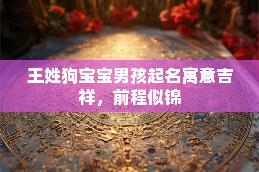 王姓狗宝宝男孩起名寓意吉祥，前程似锦
