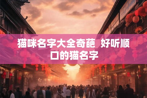 猫咪名字大全奇葩  好听顺口的猫名字
