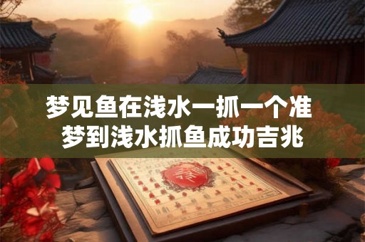 梦见鱼在浅水一抓一个准 梦到浅水抓鱼成功吉兆