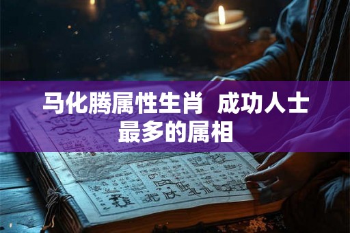 马化腾属性生肖  成功人士最多的属相