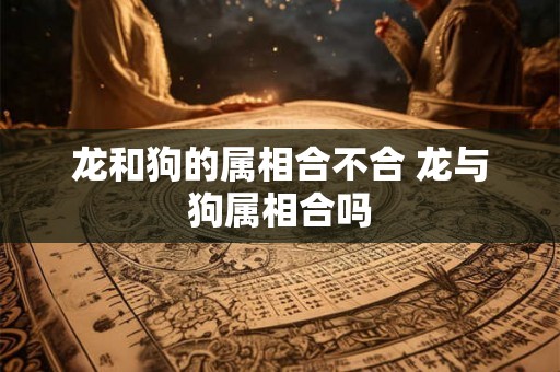 龙和狗的属相合不合 龙与狗属相合吗