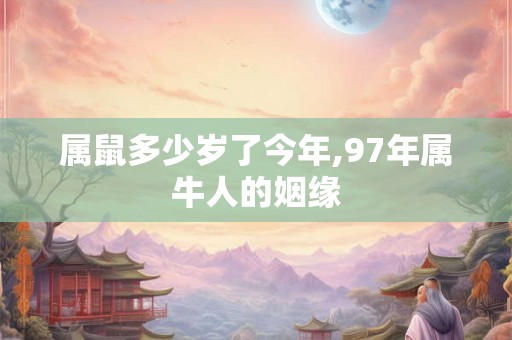 属鼠多少岁了今年,97年属牛人的姻缘