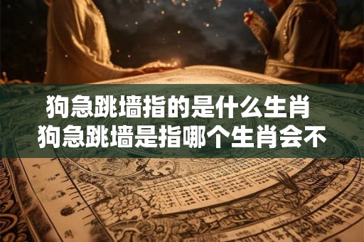 狗急跳墙指的是什么生肖 狗急跳墙是指哪个生肖会不顾一切地逃避困境