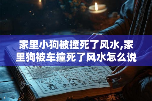 家里小狗被撞死了风水,家里狗被车撞死了风水怎么说 家里小狗被撞死了风水,家里狗被车撞死了风水怎么说