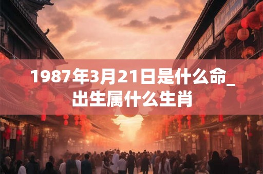 1987年3月21日是什么命_出生属什么生肖