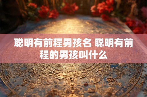 聪明有前程男孩名 聪明有前程的男孩叫什么