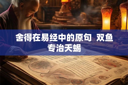 舍得在易经中的原句  双鱼专治天蝎