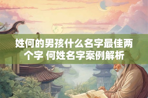 姓何的男孩什么名字最佳两个字 何姓名字案例解析