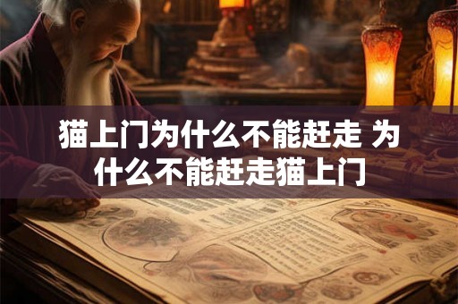 猫上门为什么不能赶走 为什么不能赶走猫上门