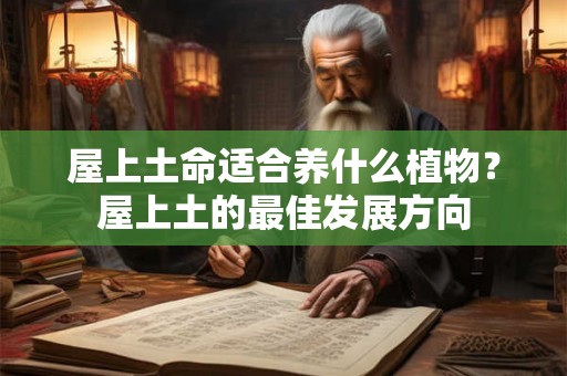 屋上土命适合养什么植物？屋上土的最佳发展方向