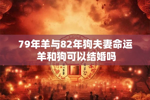 79年羊与82年狗夫妻命运 羊和狗可以结婚吗