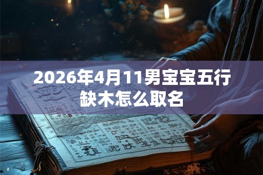 2026年4月11男宝宝五行缺木怎么取名