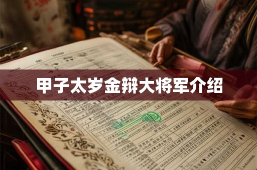 甲子太岁金辩大将军介绍