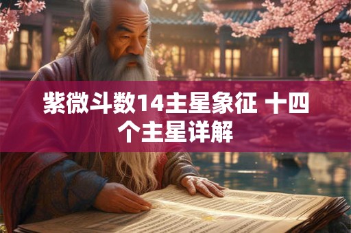 紫微斗数14主星象征 十四个主星详解