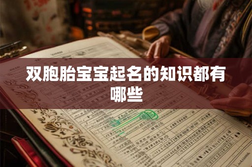 双胞胎宝宝起名的知识都有哪些