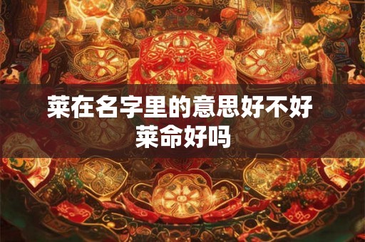 莱在名字里的意思好不好 莱命好吗