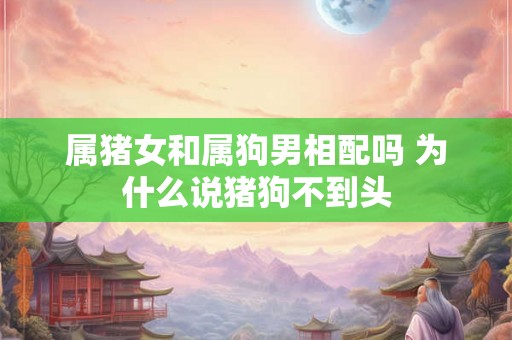 属猪女和属狗男相配吗 为什么说猪狗不到头