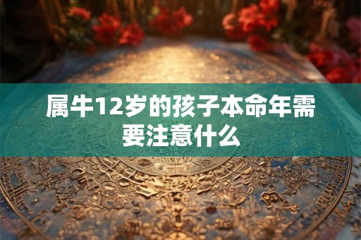 属牛12岁的孩子本命年需要注意什么
