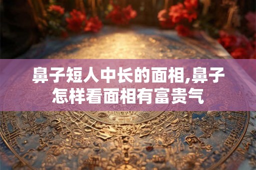 鼻子短人中长的面相,鼻子怎样看面相有富贵气