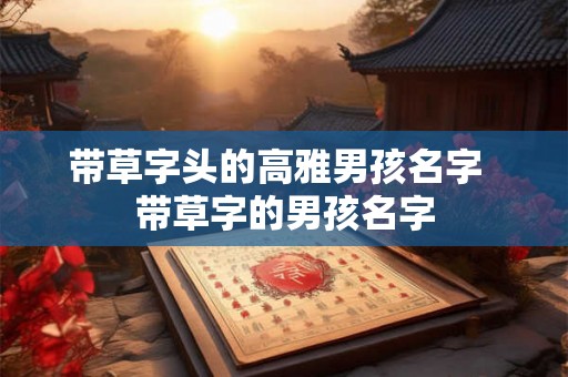 带草字头的高雅男孩名字  带草字的男孩名字