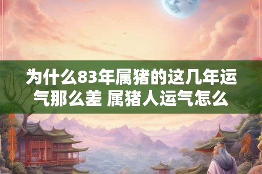 为什么83年属猪的这几年运气那么差 属猪人运气怎么样 为什么83年属猪的这几年运气那么差 属猪人运气怎么样