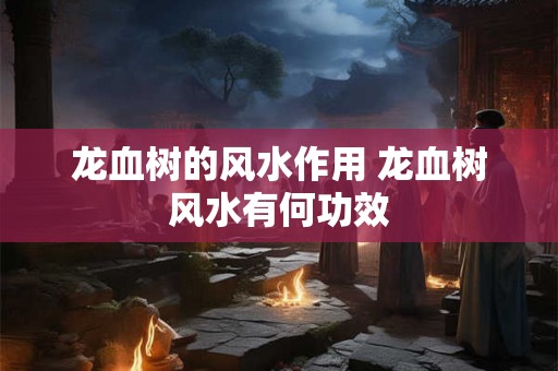 龙血树的风水作用 龙血树风水有何功效
