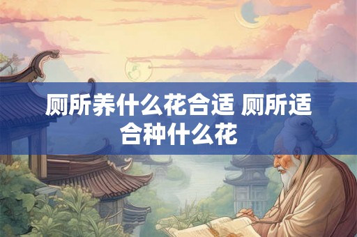 厕所养什么花合适 厕所适合种什么花