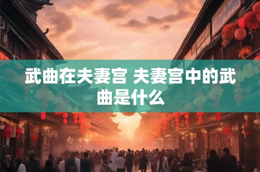 武曲在夫妻宫 夫妻宫中的武曲是什么 武曲在夫妻宫 夫妻宫中的武曲是什么