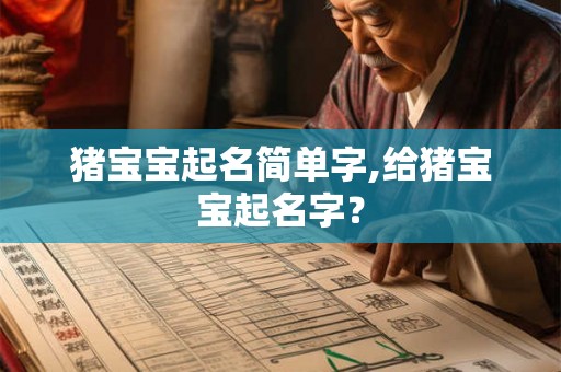 猪宝宝起名简单字,给猪宝宝起名字？