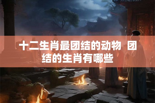 十二生肖最团结的动物  团结的生肖有哪些